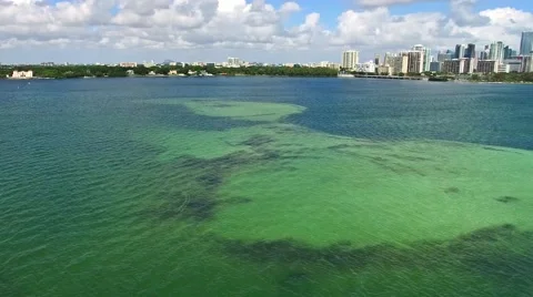 Aerial 4K Biscayne fly over ocean in Miami, Florida Stock Footage 56218952