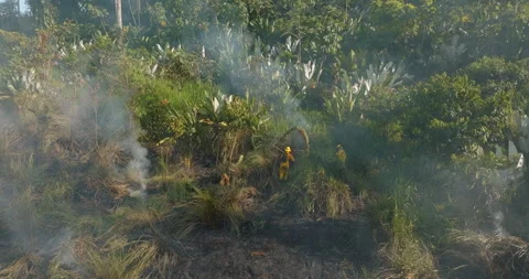 Aerial 4k Drone Angled Down Over Firefighters Working Flames Of Rainforest Fire Stock Footage 277204489