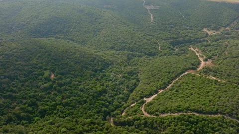 Aerial 4K Drone Dropping Down / Forward - Paths Winding Through Mountain Valley Stock Footage 262766582