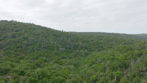 Aerial 4K Drone Flying Forward Dropping Down Tilting Up Through Bushveld Valley Stock Footage 262771316