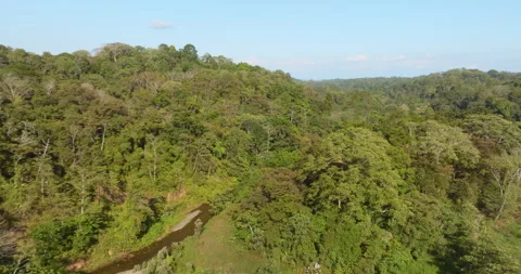 Aerial 4k Drone Flying Forward Through A Rainforest Valley Over A River Stock Footage 277079074