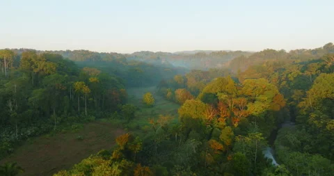 Aerial 4k Drone Flying Forward Over A Hazy Rainforest River Valley At Sunset Stock Footage 277080288