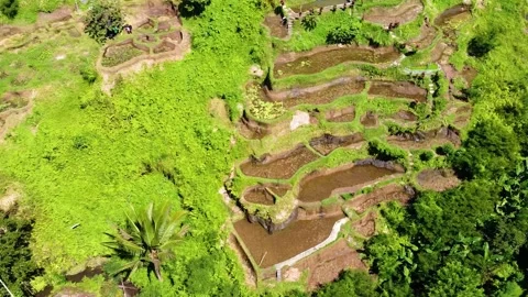 Aerial 4K drone footage of Batad Rice Terraces in the Philippines, showcasing st Stock Footage 309258035