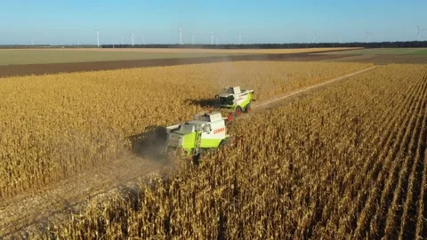 Aerial 4K drone front view industrial german Claas Lexion 460 Stock Footage 179359108