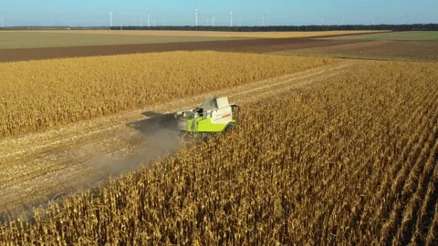 Aerial 4K drone front view industrial german Claas Lexion Stock Footage 199413400