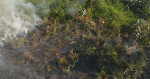 Aerial 4k Drone Orbiting Around Firefighters Working Flames Of Rainforest Fire Stock Footage 277204591