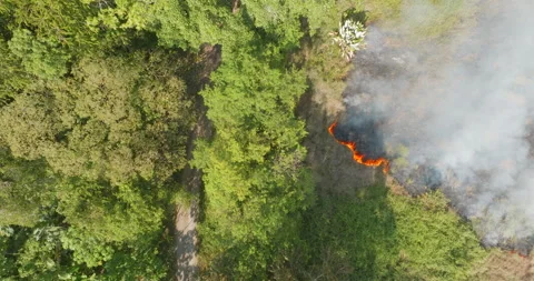 Aerial 4k Drone Top Down Lowering Over Burning Grasses Near Forest Dirt Road Stock Footage 277211699