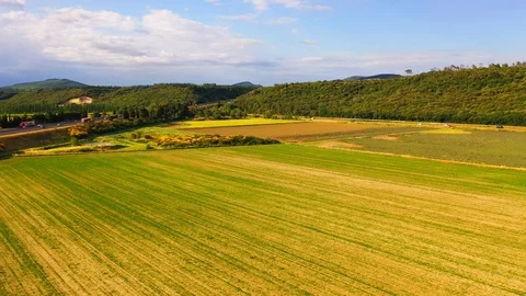 AERIAL 4K: Flight over Lavender Field. Sunset or sunrise aerial landscape of Stock Footage 128765567