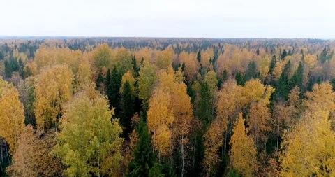 Aerial 4k 動画素材 96538654