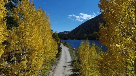 Aerial 4K Golden Aspens Fly-through on Windy Dirt Road with drone & couple Stock Footage