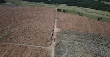 Aerial 4K - Machine loading wood logs on truck in deforestation area Stock Footage 85937648