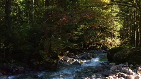 Aerial 4K - overflight with drone on stream in autumn Stock-Footage 140982585