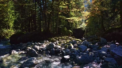 Aerial 4K - overflight with drone on stream in autumn Stock-Footage 140982681