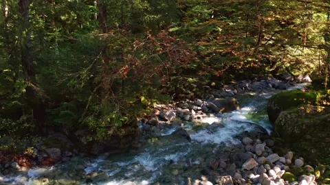 Aerial 4K - overflight with drone on stream in autumn Stock-Footage 140982765