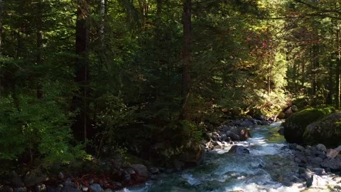 Aerial 4K - overflight with drone on stream in autumn Stock-Footage 140982774