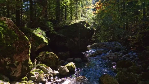 Aerial 4K - overflight with drone on stream in autumn Stock-Footage 140982941