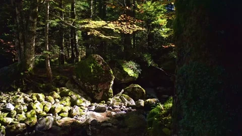 Aerial 4K - overflight with drone on stream in autumn Stock-Footage 140982960