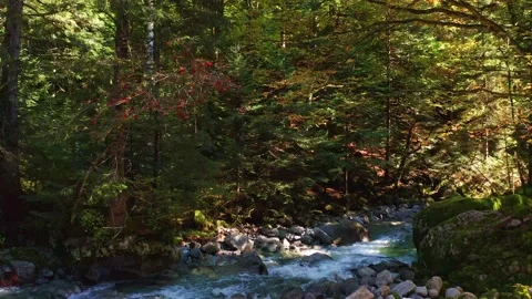 Aerial 4K - overflight with drone on stream in autumn Stock Footage 140983442