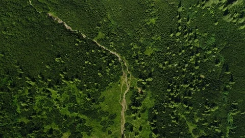 Aerial 4K: Path on high view Stock Footage 78168555