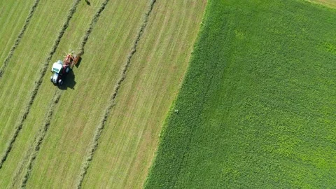 Aerial 4K - processing of hay with agricultural machine Stock-Footage 135220933