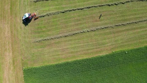 Aerial 4K - processing of hay with agricultural machine Stock Footage 135220954