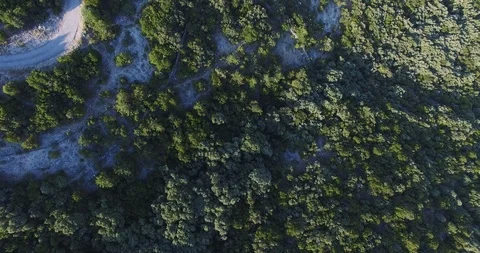 AERIAL 4K Top-down view of winding asphalt road with green forest in summer Video stock 119491638