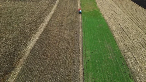 Aerial 4K top down view of tractor on farmland field strips Stock Footage 322933812