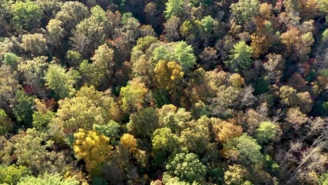 Aerial 4K video flight over Georgia mountains during the fall Видео 119024843
