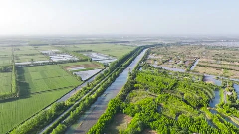 Aerial 4K View of Ecological Environment at Hongze Lake Wetland Stock Footage 319653836