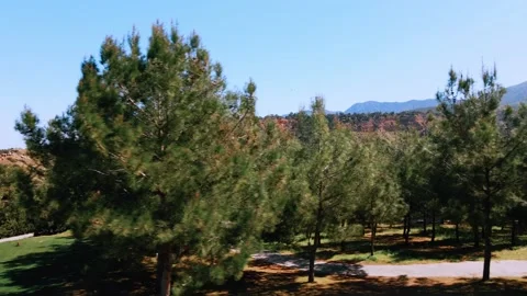 Aerial 4k view of Golf Course in summer sunny day Video stock 172437882