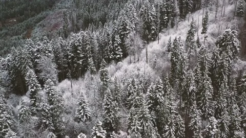 Aerial 4k view of mountains capped by first snow. Winter season is coming Stock Footage 141454620