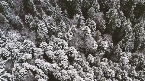 Aerial 4k view of mountains capped by first snow. Winter season is coming Stock Footage 141454816