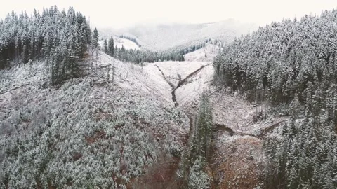 Aerial 4k view of mountains capped by first snow. Winter season is coming Stock Footage 141455073