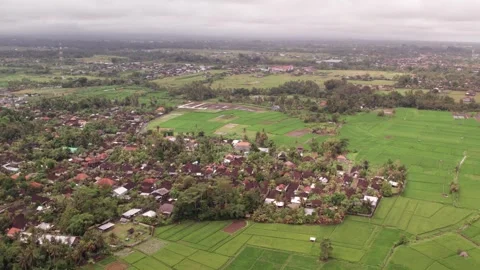 Aerial 4K view of rice fields in Penarungan Village on Bali, Indonesia Stock Footage 325510823