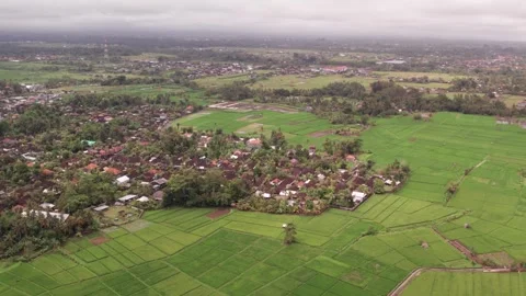 Aerial 4K view of rice fields in Penarungan Village on Bali, Indonesia Stock Footage 325511253