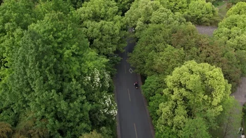 Aerial 4K view of the road between forest green trees and lake, Hangzhou, China Stock Footage 240625845