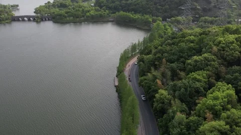 Aerial 4K view of the road between forest green trees and lake, Hangzhou, China Stock Footage 240625975