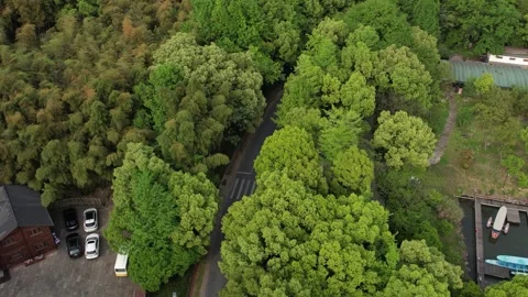 Aerial 4K view of the road between forest green trees and lake, Hangzhou, China Stock Footage 240626081