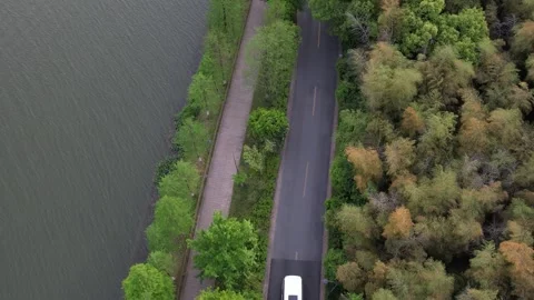 Aerial 4K view of the road between forest green trees and lake, Hangzhou, China Stock Footage 240626095