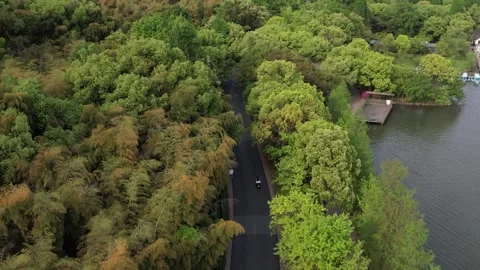 Aerial 4K view of the road between forest green trees and lake, Hangzhou, China Stock Footage 240626125