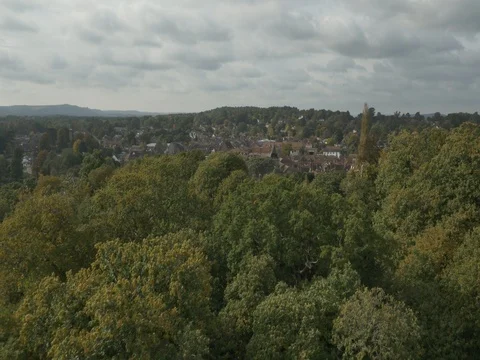 Aerial 8 of Midhurst, West Sussex, UK Stock Footage