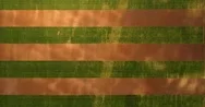 Aerial Above A Beautiful Striped And Cultivated Field. Stock Footage