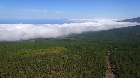 Aerial: above the clouds Stock Footage 54560445