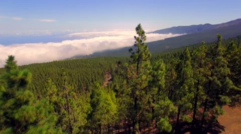 Aerial: above the clouds Stock Footage 54560598