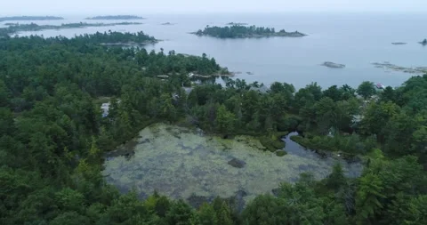 Aerial Above Cloudy Pine Forest Over Pond Next To Rugged Northern Shoreline Lake Stock-Footage 188564901