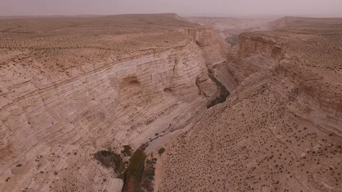 Aerial above the Ein Avdat canyon and Negev Desert. Israel. DJI-0208-08 스톡 동영상 123657660
