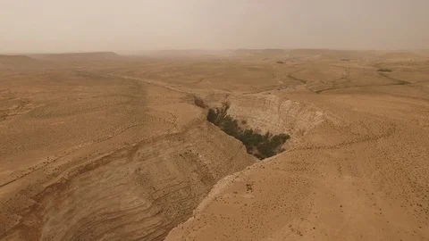 Aerial above the Ein Avdat canyon and Negev Desert. Israel. DJI-0208-10 Video stock 123658685