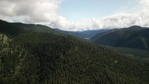 Aerial above forested Bitterroot Mountains in Montana in summer Stock Footage 311792882