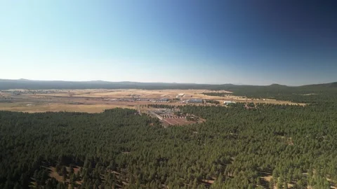 Aerial above pine trees in Coconino National Forest next to I-40 in Flagstaff Stock Footage 253418158