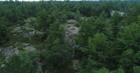 Aerial Above Pine Trees Towards Smooth Glacier Rock Outcrops Within Forest Stock Footage 188514251